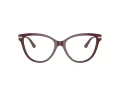 Jimmy Choo Briller JC 3001B 5018