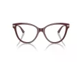 Jimmy Choo Briller JC 3001B 5018