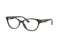 Jimmy Choo Briller JC 3003BU 5002