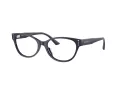 Jimmy Choo Briller JC 3003BU 5016