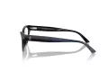 Jimmy Choo Briller JC 3005 5000