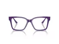 Jimmy Choo Briller JC 3006U 5050