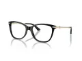 Jimmy Choo Briller JC 3007HB 5000