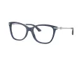 Jimmy Choo Briller JC 3007HB 5035