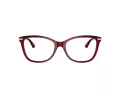 Jimmy Choo Briller JC 3007HB 5062
