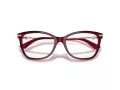 Jimmy Choo Briller JC 3007HB 5062