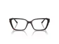 Jimmy Choo Briller JC 3008 5002