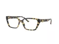 Jimmy Choo Briller JC 3008 5004
