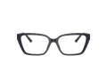 Jimmy Choo Briller JC 3008 5016