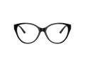 Jimmy Choo Briller JC 3009 5000