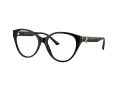 Jimmy Choo Briller JC 3009 5000