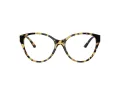 Jimmy Choo Briller JC 3009 5004