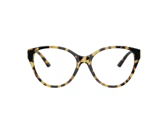 Jimmy Choo Briller JC 3009 5004