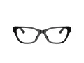 Jimmy Choo Briller JC 3010U 5000