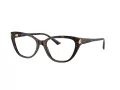 Jimmy Choo Briller JC 3011 5002