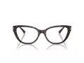 Jimmy Choo Briller JC 3011 5002