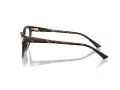 Jimmy Choo Briller JC 3011 5002