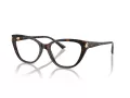 Jimmy Choo Briller JC 3011 5002