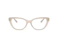 Jimmy Choo Briller JC 3011 5025