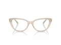 Jimmy Choo Briller JC 3011 5025
