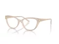 Jimmy Choo Briller JC 3011 5025