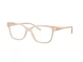 Jimmy Choo Briller JC 3012 5025