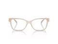 Jimmy Choo Briller JC 3012 5025