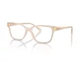 Jimmy Choo Briller JC 3012 5025