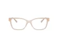 Jimmy Choo Briller JC 3012 5025