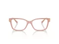 Jimmy Choo Briller JC 3012 5027