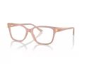 Jimmy Choo Briller JC 3012 5027