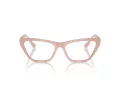 Jimmy Choo Briller JC 3014 5014