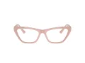 Jimmy Choo Briller JC 3014 5014