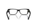 Jimmy Choo Briller JC 3016 5000