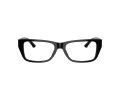 Jimmy Choo Briller JC 3016 5017