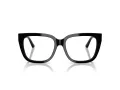 Jimmy Choo Briller JC 3019B 5000