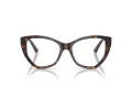 Jimmy Choo Briller JC 3026 5002