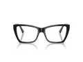 Jimmy Choo Briller JC 3028 5000