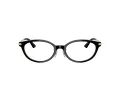 Jimmy Choo Briller JC 3029D 5000