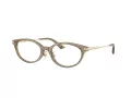 Jimmy Choo Briller JC 3029D 5051