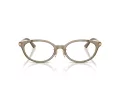 Jimmy Choo Briller JC 3029D 5051