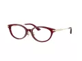 Jimmy Choo Briller JC 3029D 5062