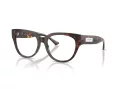 Jimmy Choo Briller JC 3035 5002