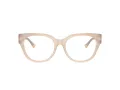 Jimmy Choo Briller JC 3035 5025