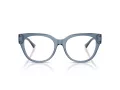 Jimmy Choo Briller JC 3035 5067