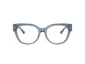 Jimmy Choo Briller JC 3035 5067