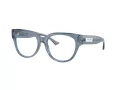 Jimmy Choo Briller JC 3035 5067