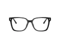 Jimmy Choo Briller JC 3038D 5000