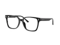 Jimmy Choo Briller JC 3038D 5000