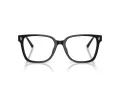 Jimmy Choo Briller JC 3038D 5000